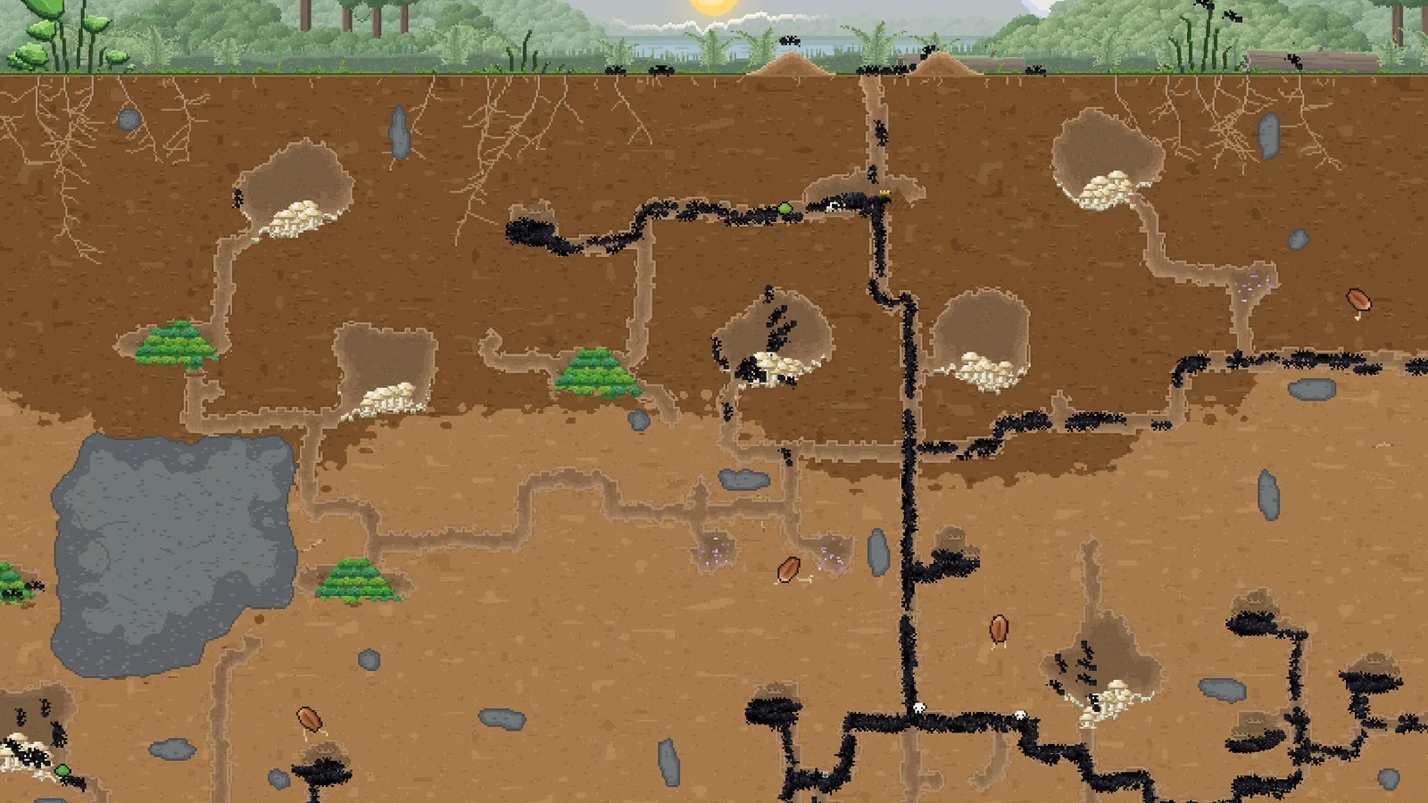 Close view of fungus farms and ant trails in Ant Architect