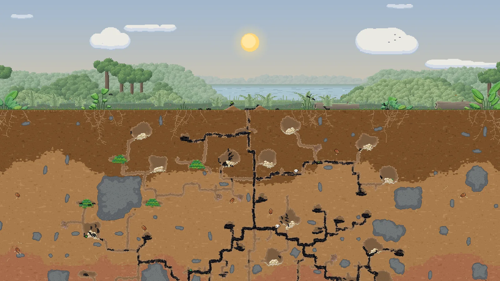 A grown Ant Architect nest of tunnels and fungus farms beneath a meadow
